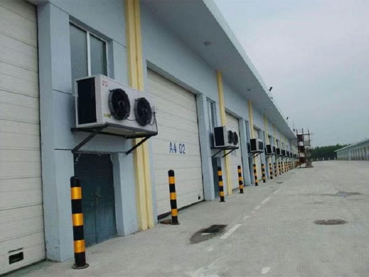 Frozen storage plant