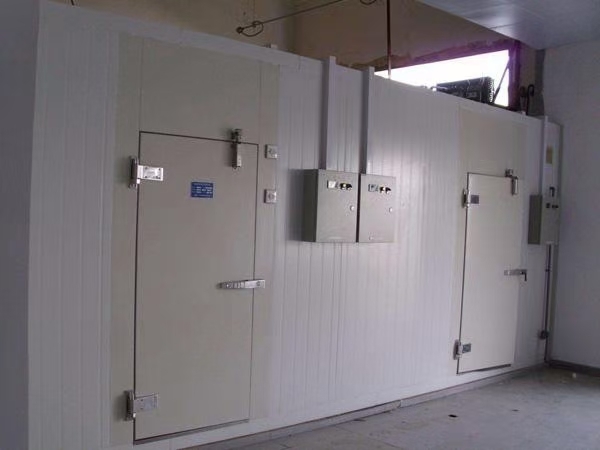 Frozen storage plant